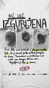 Petarde - Ne, hvala! 3